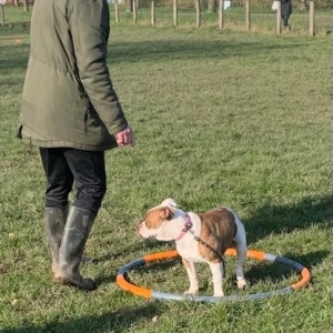 WhatsApp-Image-2022-03-05-at-2.28.42-PM2