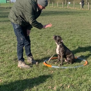 WhatsApp-Image-2022-03-05-at-2.28.42-PM3