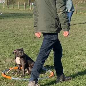 WhatsApp-Image-2022-03-05-at-2.28.42-PM4