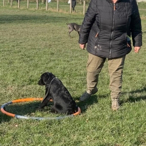 WhatsApp-Image-2022-03-05-at-2.28.42-PM5