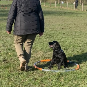 WhatsApp-Image-2022-03-05-at-2.28.42-PM6