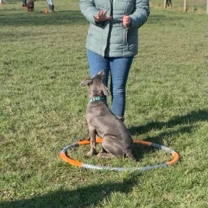 WhatsApp-Image-2022-03-05-at-2.28.42-PM7