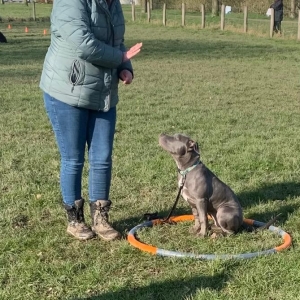 WhatsApp-Image-2022-03-05-at-2.28.43-PM