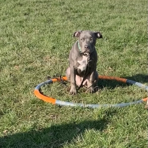 WhatsApp-Image-2022-03-05-at-2.30.00-PM