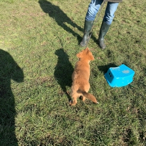 WhatsApp-Image-2022-03-05-at-2.30.01-PM