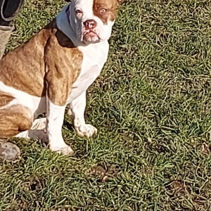 WhatsApp-Image-2022-03-05-at-2.30.02-PM