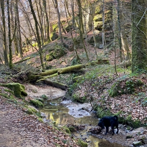 WhatsApp-Image-2022-03-05-at-1.00.32-PM