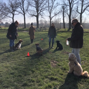 WhatsApp-Image-2022-03-05-at-12.54.40-PM