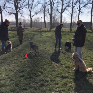 WhatsApp-Image-2022-03-05-at-12.54.41-PM