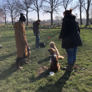 WhatsApp-Image-2022-03-05-at-12.54.41-PM1