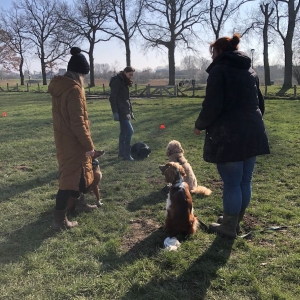 WhatsApp-Image-2022-03-05-at-12.54.42-PM