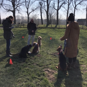 WhatsApp-Image-2022-03-05-at-12.54.43-PM