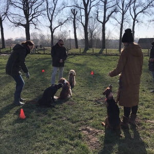 WhatsApp-Image-2022-03-05-at-12.54.44-PM