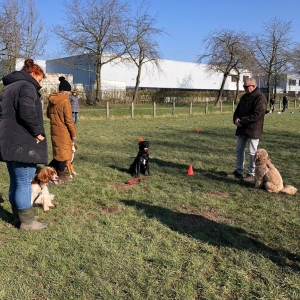 WhatsApp-Image-2022-03-05-at-12.54.46-PM