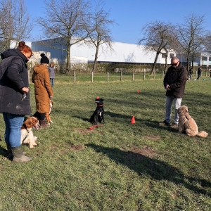 WhatsApp-Image-2022-03-05-at-12.54.46-PM1