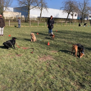 WhatsApp-Image-2022-03-05-at-12.54.47-PM