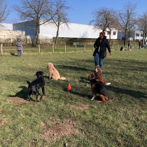 WhatsApp-Image-2022-03-05-at-12.54.47-PM1