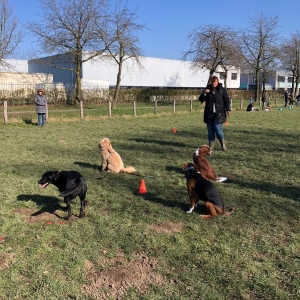 WhatsApp-Image-2022-03-05-at-12.54.48-PM